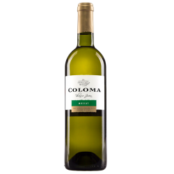 COLOMA MUSCAT SECO 2022